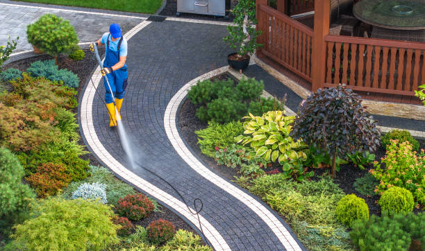 Best Roof Power Washing Services  in Larksville, PA